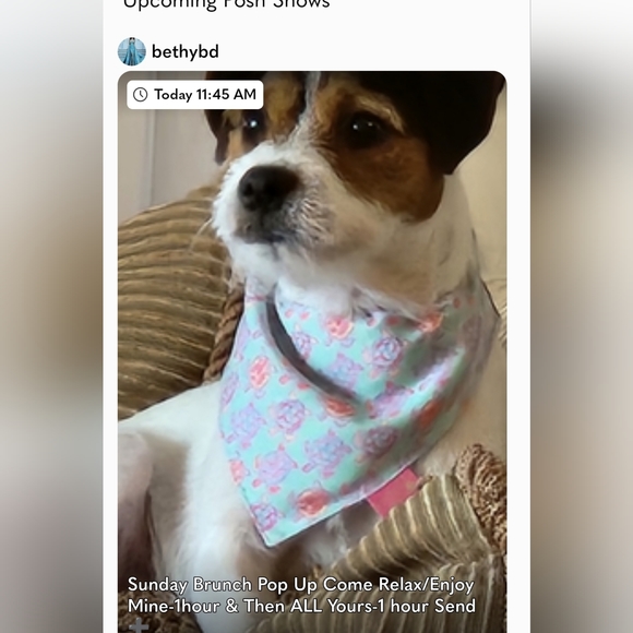 @bethybd GIVEAWAY At LIVE Show Today🎁Plan To Join Us! - Picture 7 of 16